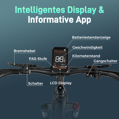 BK9S Fatbike-E-Velo für Mountainbike-Einsatz