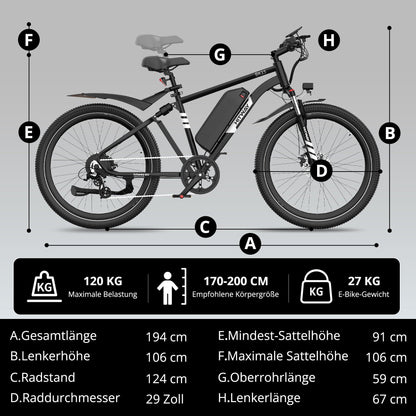 BK15 Plus 29-Zoll E-Velo