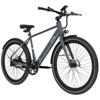 BK19 Pro Riemenantrieb E-Bike