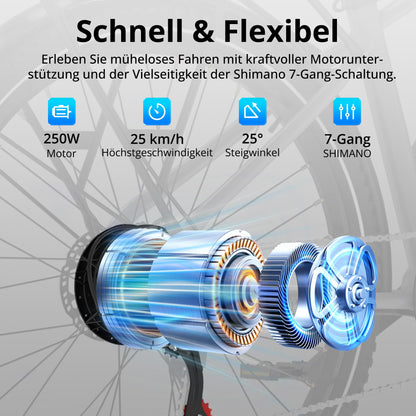 BK7S Plus 29 Zoll E-Velo