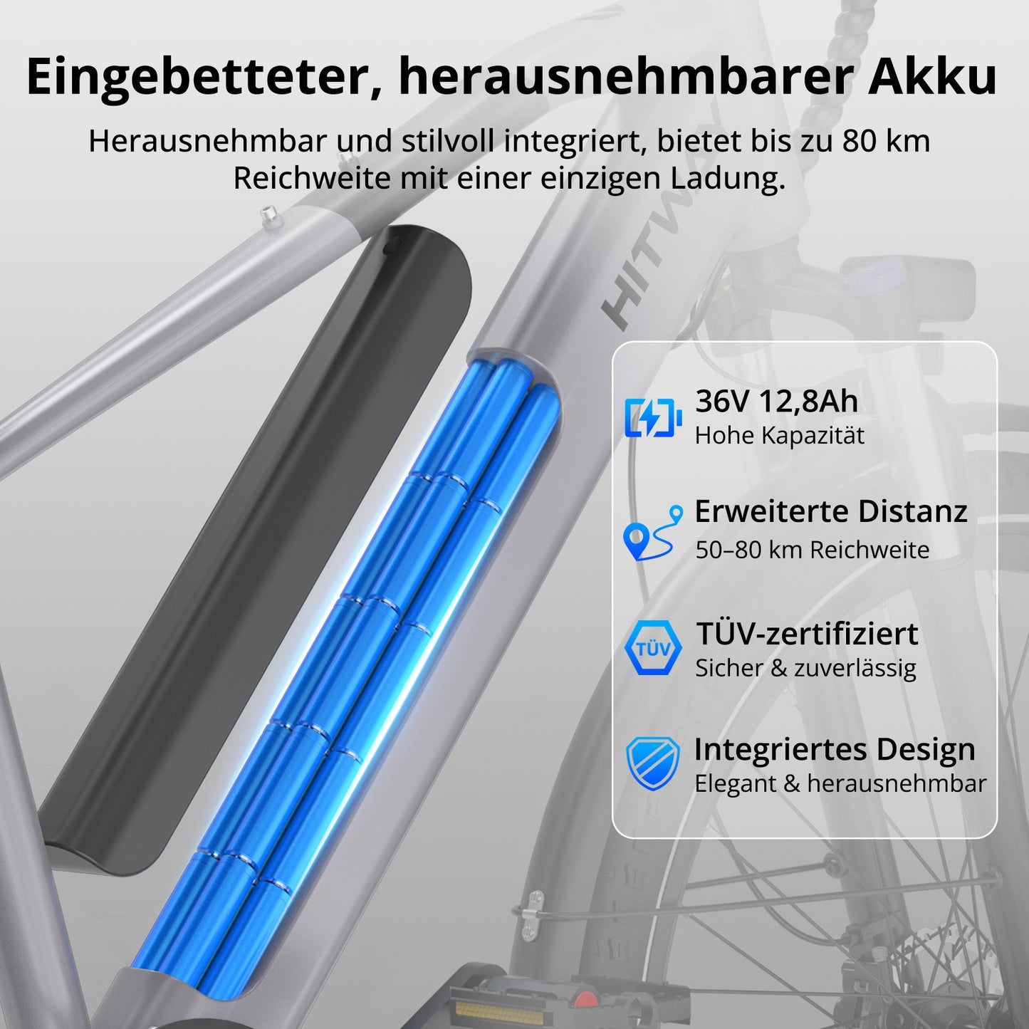 BK7S Plus 29 Zoll E-Velo