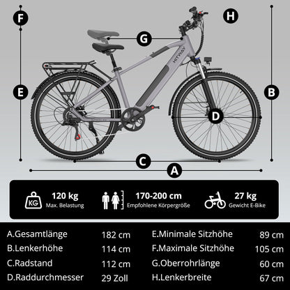 BK7S Plus 29 Zoll E-Velo