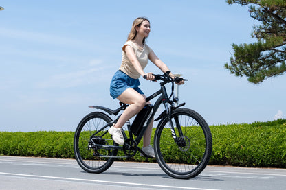 BK15 Plus 29-Zoll E-Velo