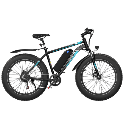 BK15 4.0 E-Velo mit Fat-Pneus