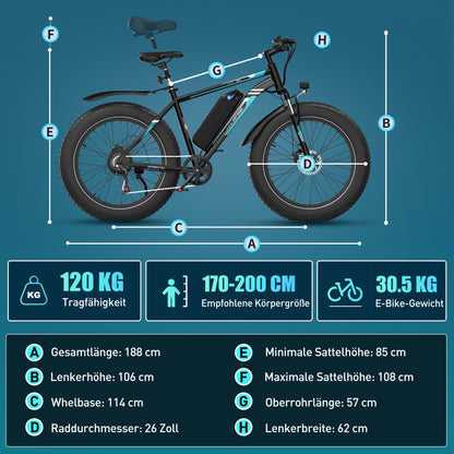 BK15 4.0 E-Velo mit Fat-Pneus